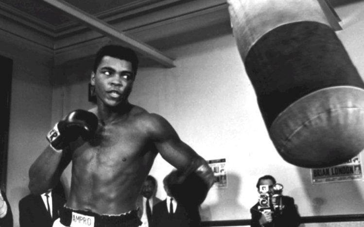 Muhammad Ali Theme screenshot #6