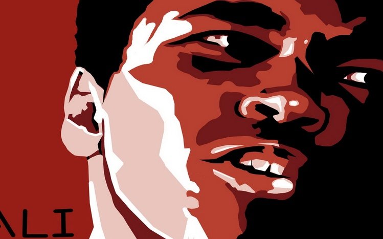 Muhammad Ali Theme screenshot #10