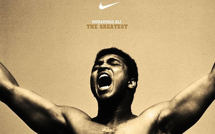 Muhammad Ali Theme screenshot #8