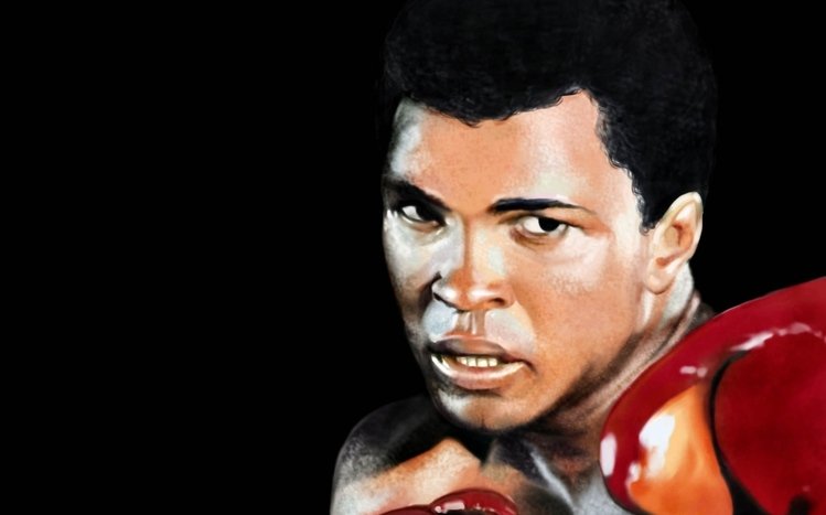 Muhammad Ali Theme screenshot #15