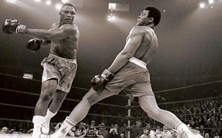 Muhammad Ali Theme screenshot #13