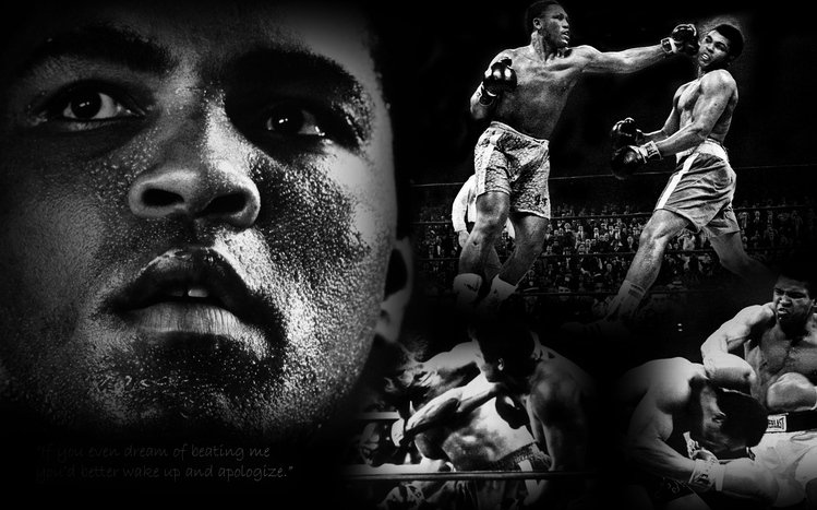 Muhammad Ali Theme screenshot #7