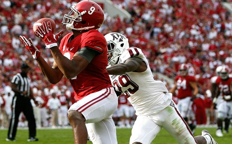 Alabama Crimson Tide Theme screenshot #3