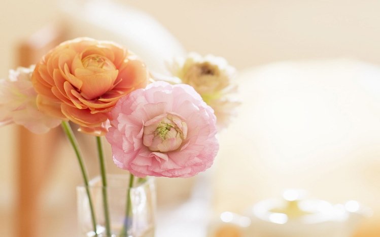 Peony Theme screenshot #12