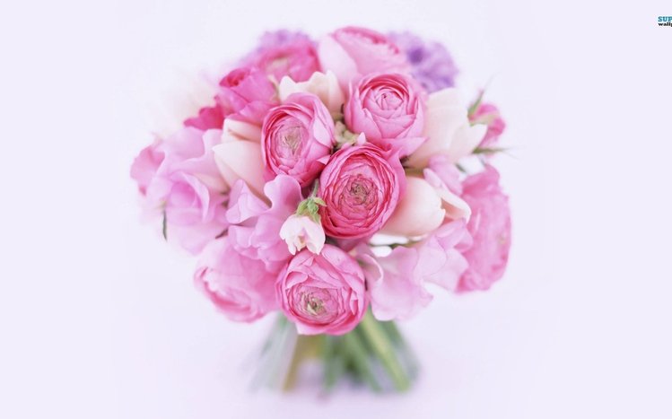 Peony Theme screenshot #8