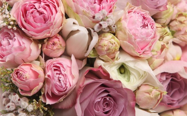 Peony Theme screenshot #6