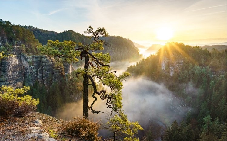 Sunrise Theme screenshot #20