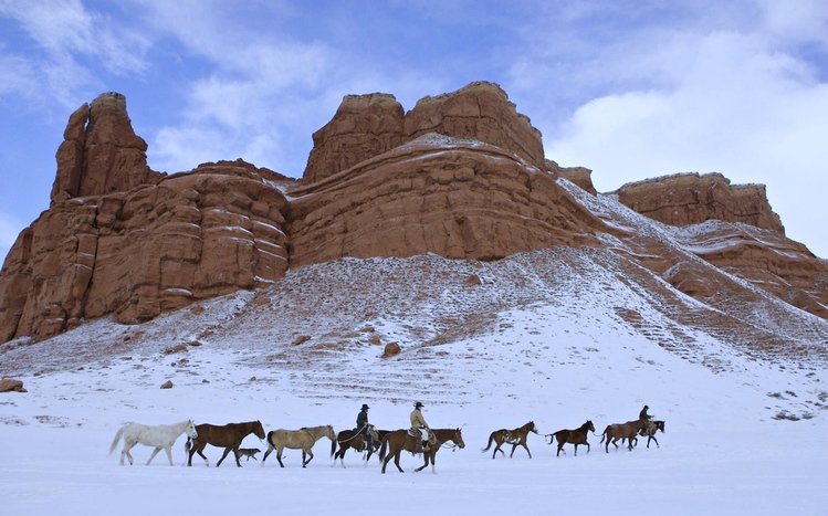 Western Theme screenshot #12