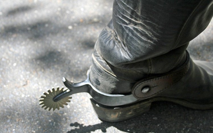 Western Theme screenshot #13