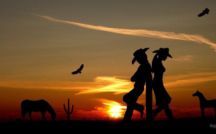 Western Theme screenshot #16