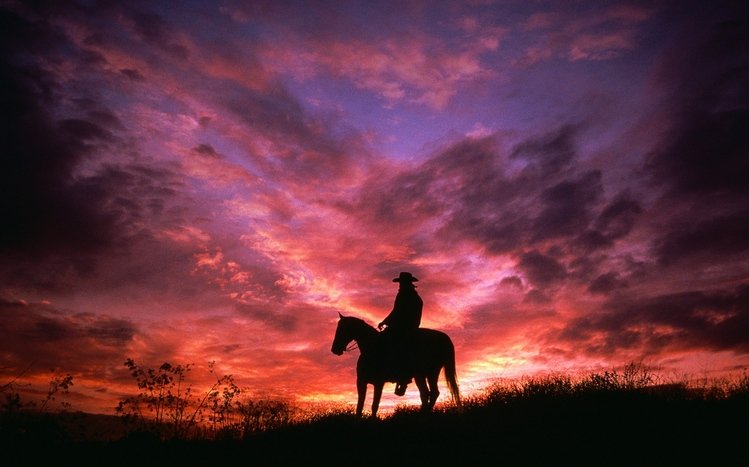 Western Theme screenshot #6