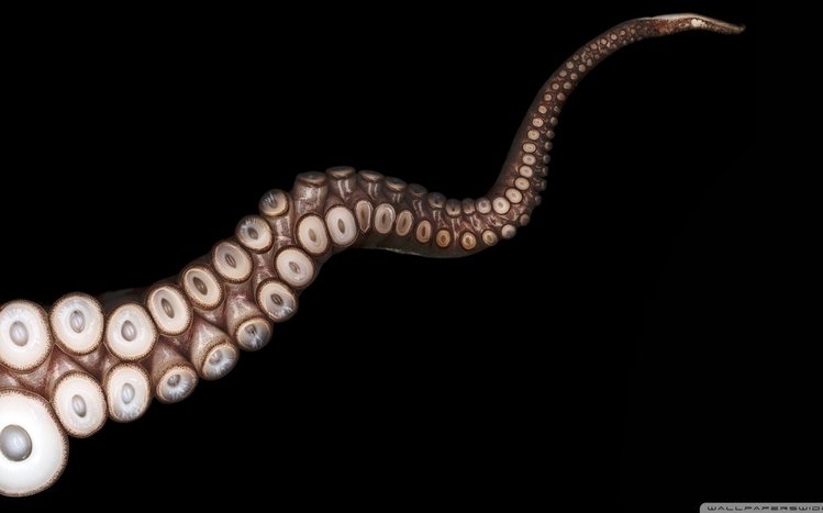 Octopus Theme screenshot #16