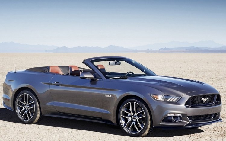 Ford Theme screenshot #7