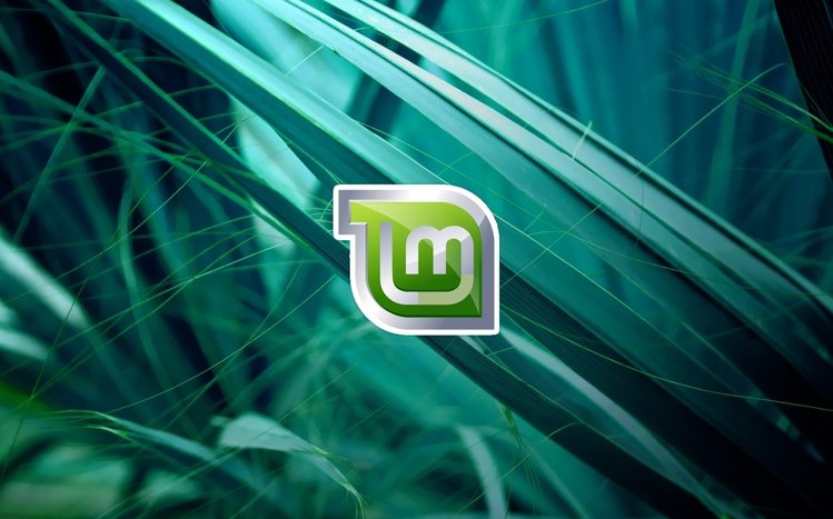 Linux Mint Theme screenshot #18