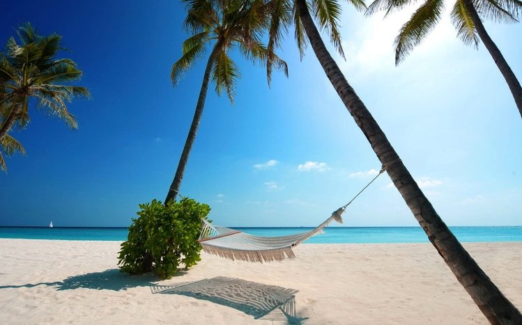 Paradise Theme screenshot #3