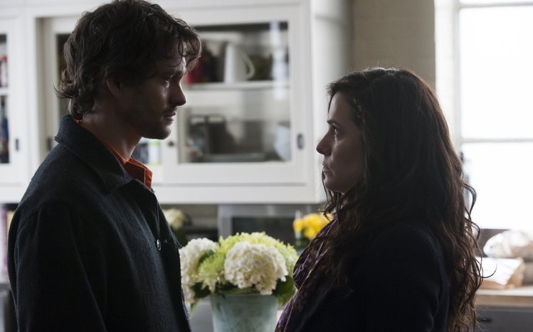 Hannibal Theme screenshot #12