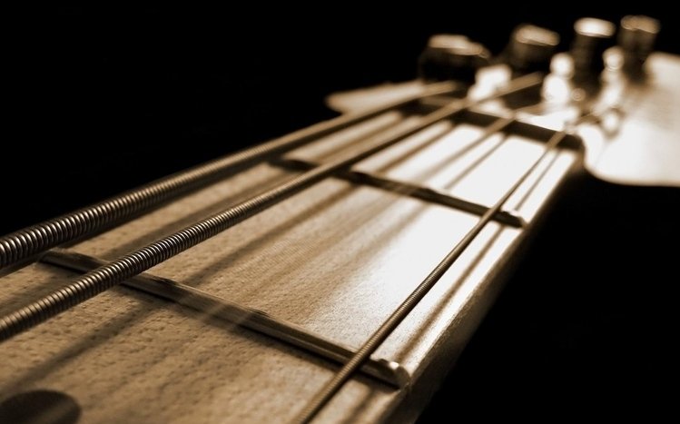 Bass Guitar Theme screenshot #9