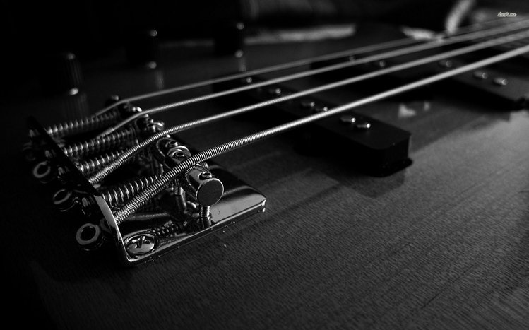 Bass Guitar Theme screenshot #2