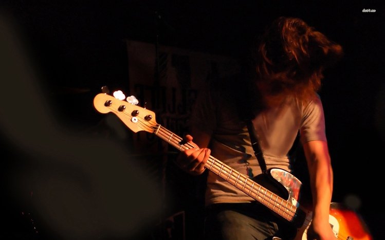 Bass Guitar Theme screenshot #1