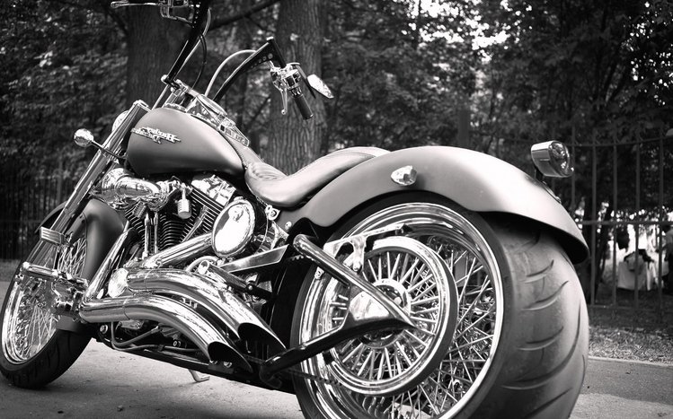 Harley Theme screenshot #10