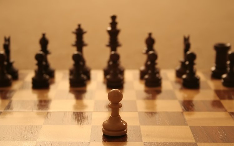 Chess Theme screenshot #1