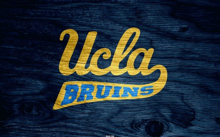 UCLA Theme screenshot #3