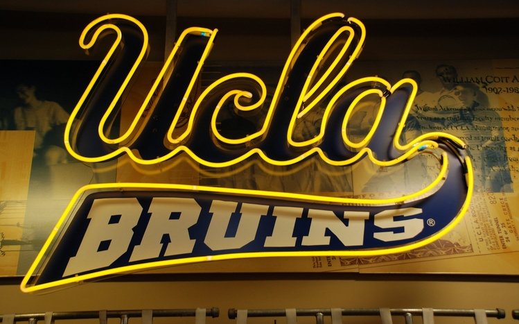 UCLA Theme screenshot #1