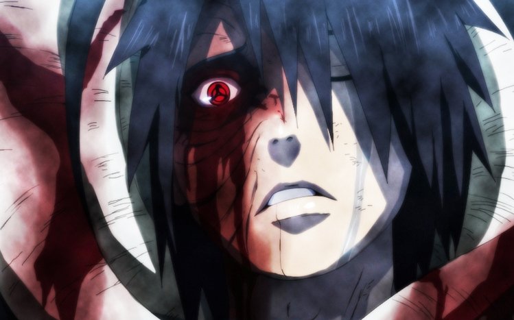 Akatsuki Theme screenshot #7