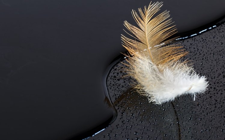 Feather Theme screenshot #17