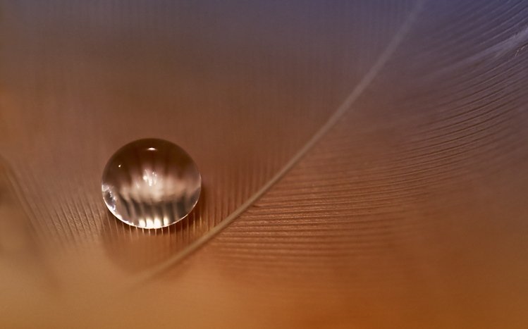 Feather Theme screenshot #16