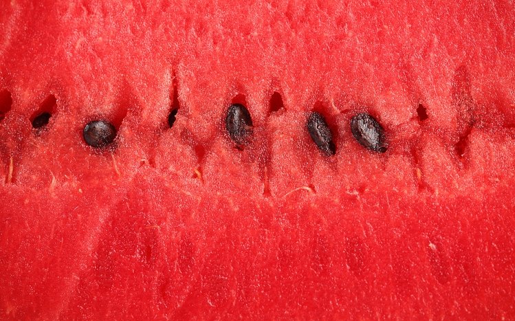 Watermelon Theme screenshot #6