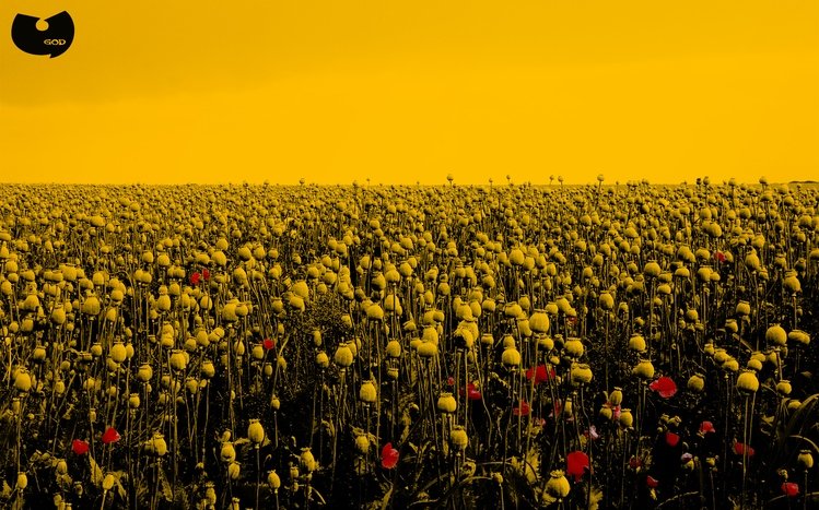 Wu-Tang Clan Theme screenshot #3