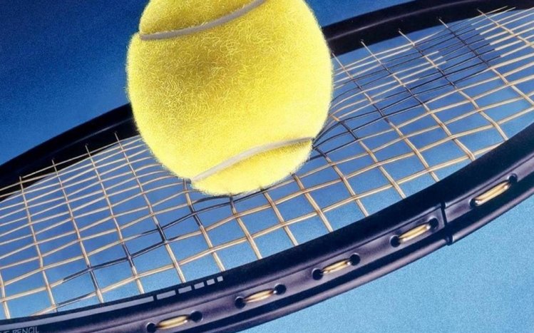 Tennis Theme screenshot #7