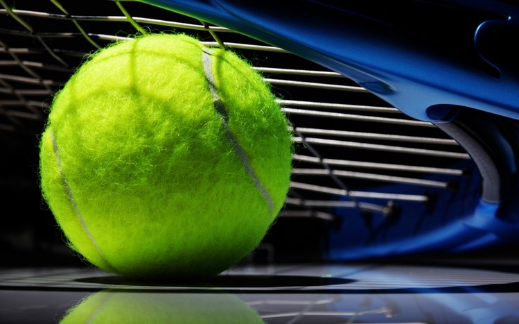 Tennis Theme screenshot #10