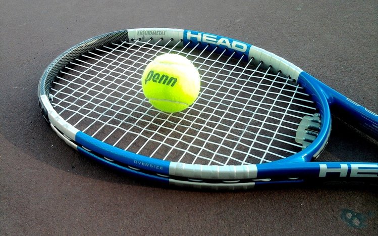 Tennis Theme screenshot #13