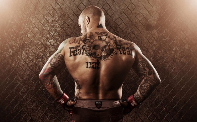 MMA Theme screenshot #1