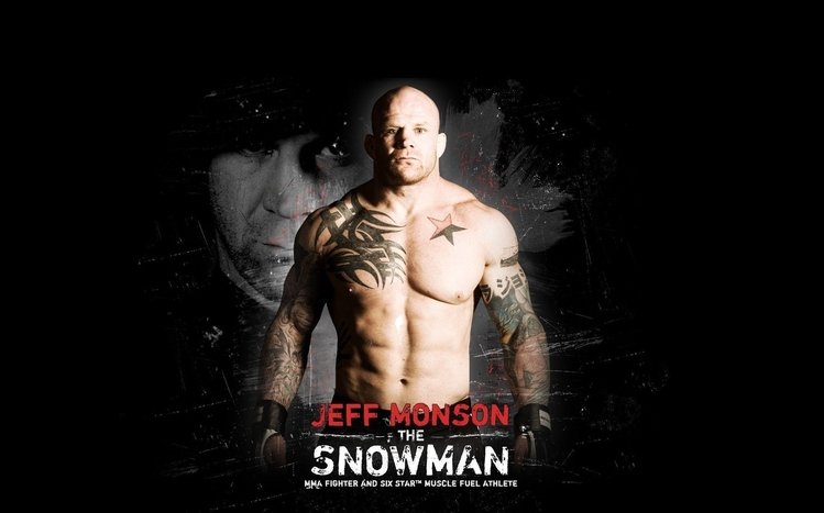 MMA Theme screenshot #8