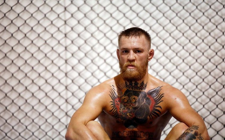 Conor McGregor Theme screenshot #9