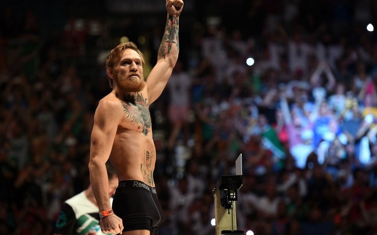 Conor McGregor Theme screenshot #11