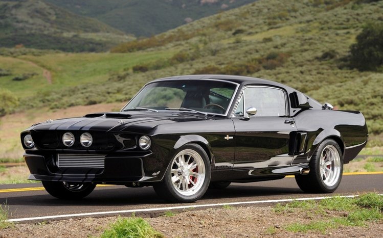 Mustang Theme screenshot #13