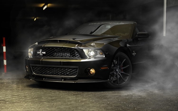 Mustang Theme screenshot #7