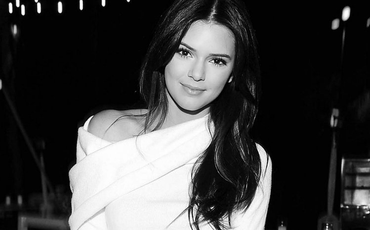 Kendall Jenner Theme screenshot #2