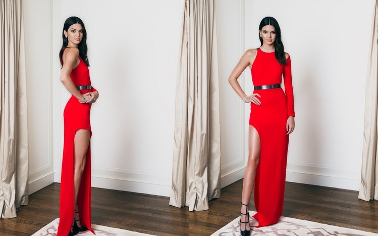 Kendall Jenner Theme screenshot #6