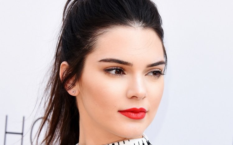 Kendall Jenner Theme screenshot #7