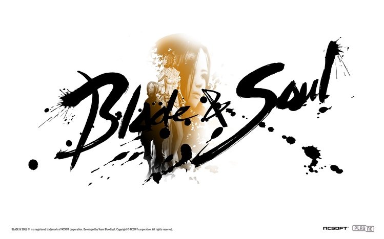 Blade & Soul Theme screenshot #8