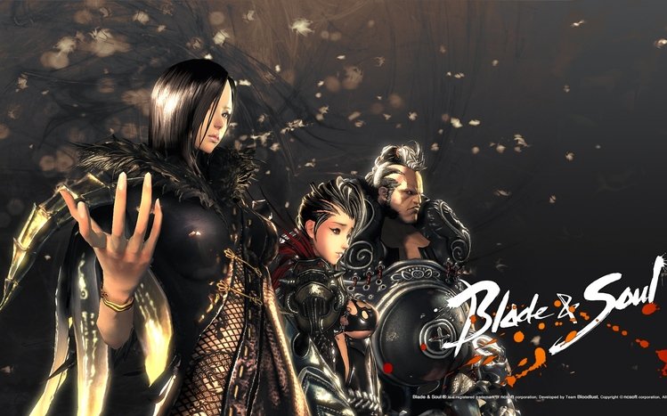 Blade & Soul Theme screenshot #2