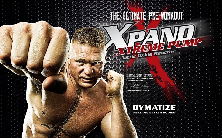 Brock Lesnar Theme screenshot #9