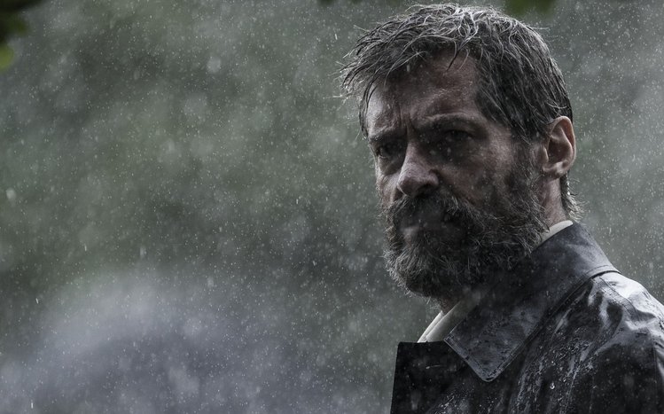 Logan Theme screenshot #11