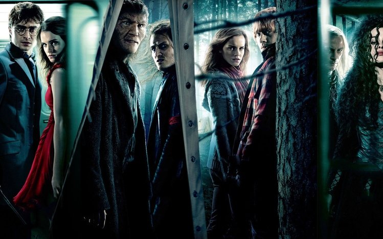 Harry Potter Theme screenshot #1