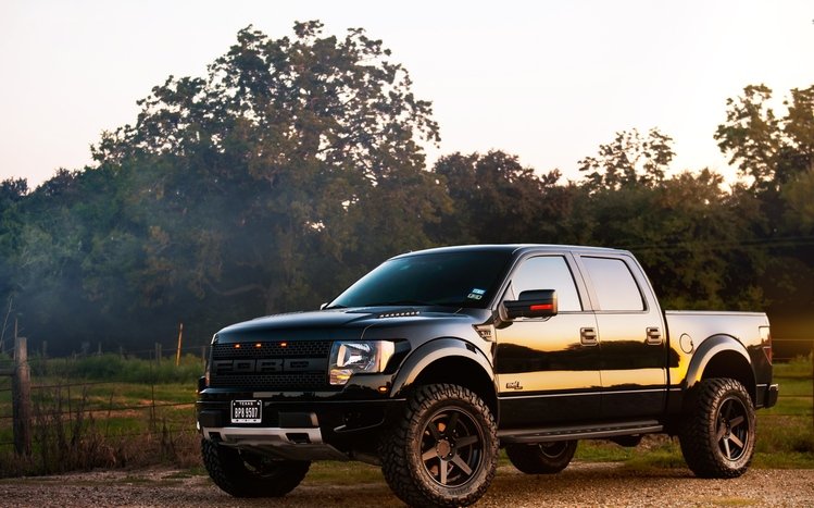 Ford F-150 Theme screenshot #19